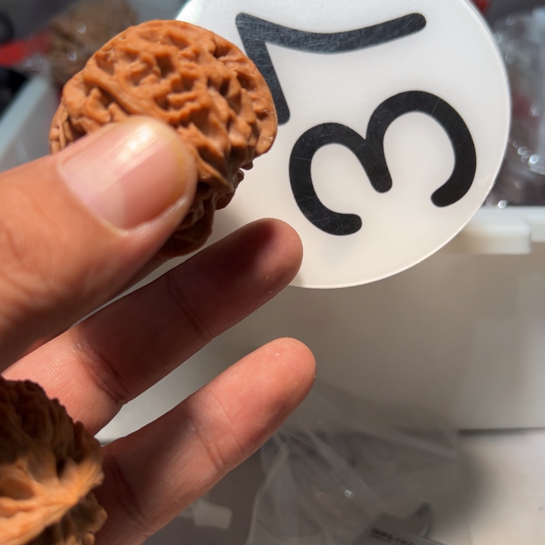 形***彭文玩核桃，白色37号