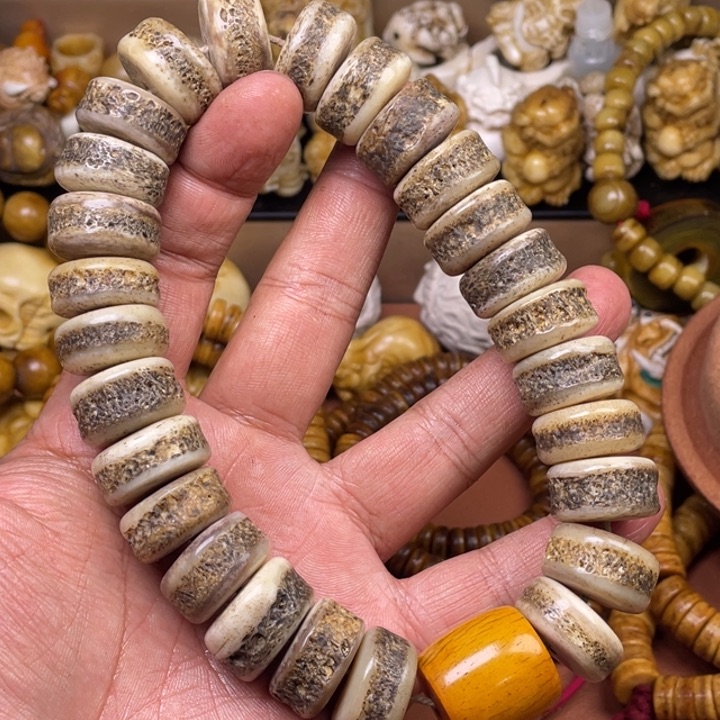 驼骨摆件人工养殖