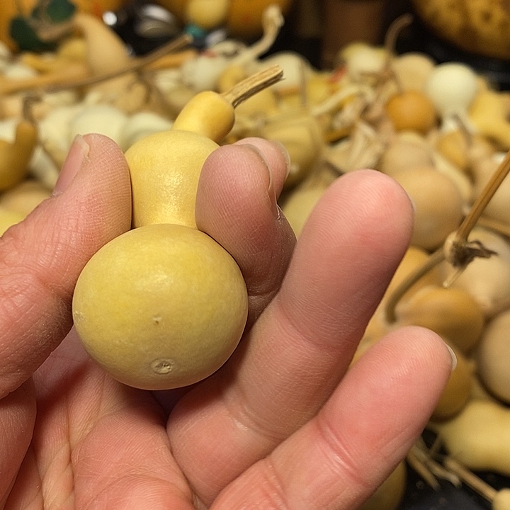 容***.精品葫芦手把葫芦81