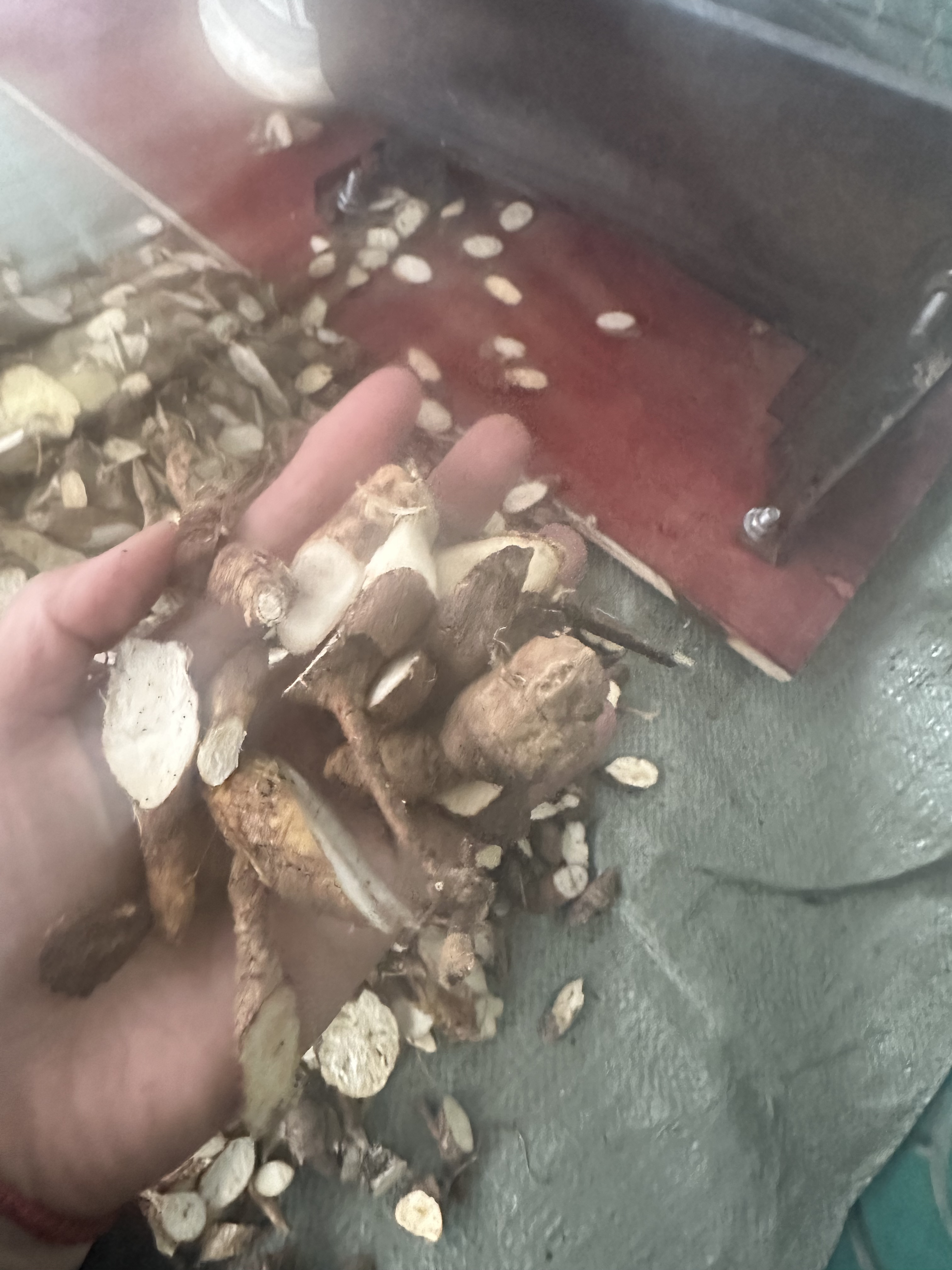 牛大力干品 250克为一份农家自晒