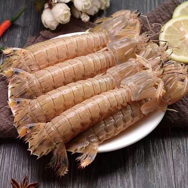 莱州当地大皮皮虾鲜活一名虾爬子超大皮皮虾海鲜爬虾京东包邮