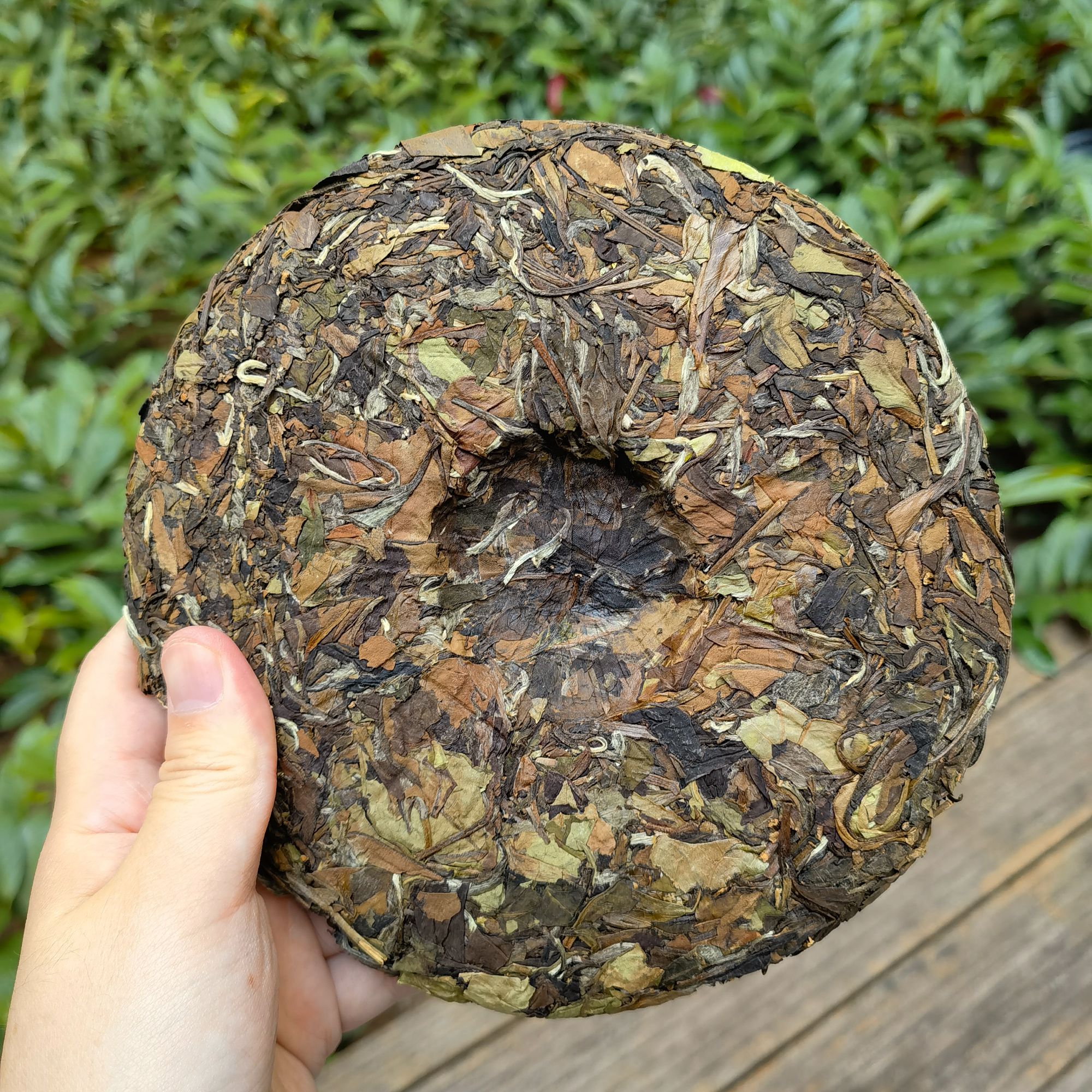 【海霞】福鼎白茶2018年一级寿眉茶饼（春茶）