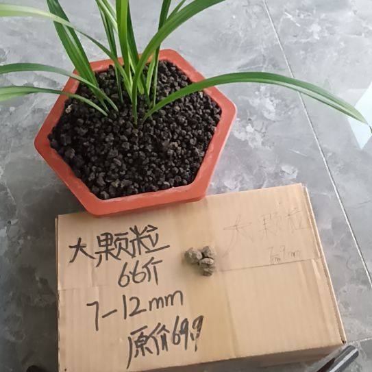 情***怀兰菌黑山土大颗粒6.6斤