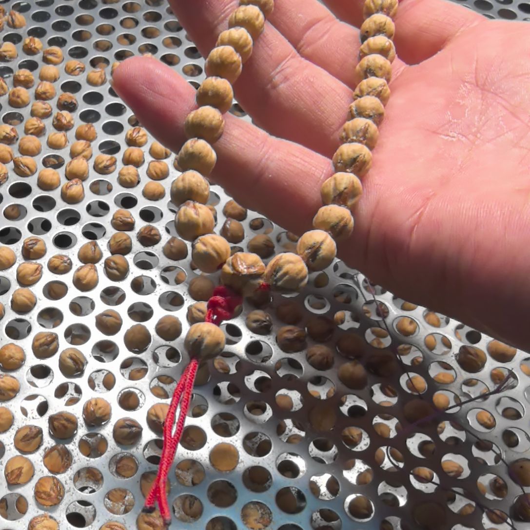 柏香籽/百香籽吊坠