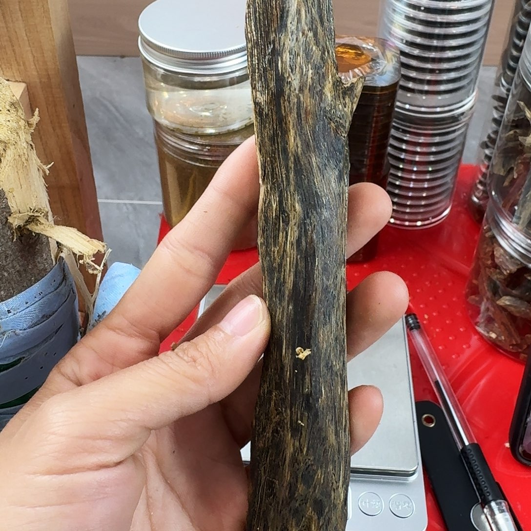 香料绿奇楠虫漏白棋29克