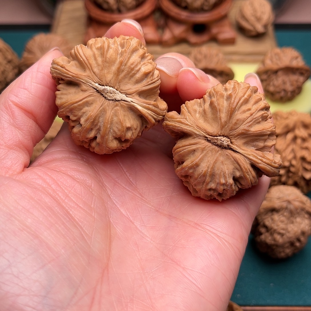 文玩核桃把件白狮子