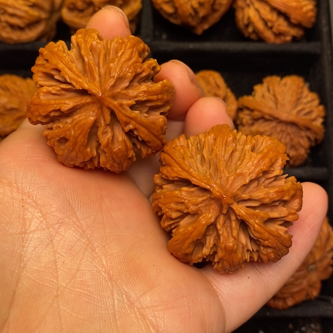 文玩核桃吊坠秦岭山脉核桃