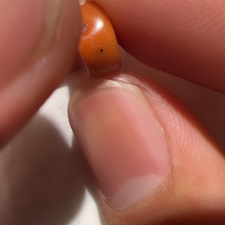 香榧木你的时候你