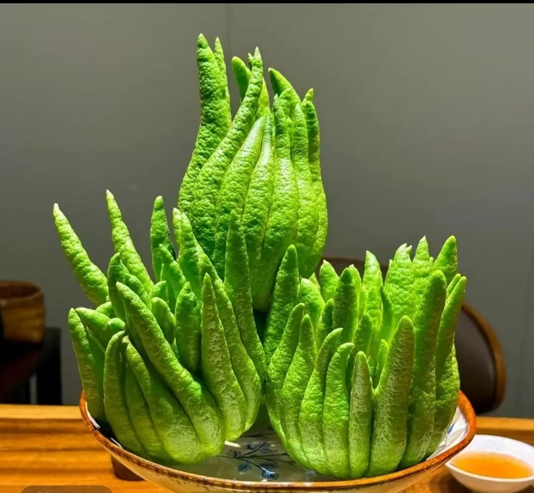 【佛手5斤以上】精品摆件 可食用观赏 清供礼佛 天然香薰干养植物