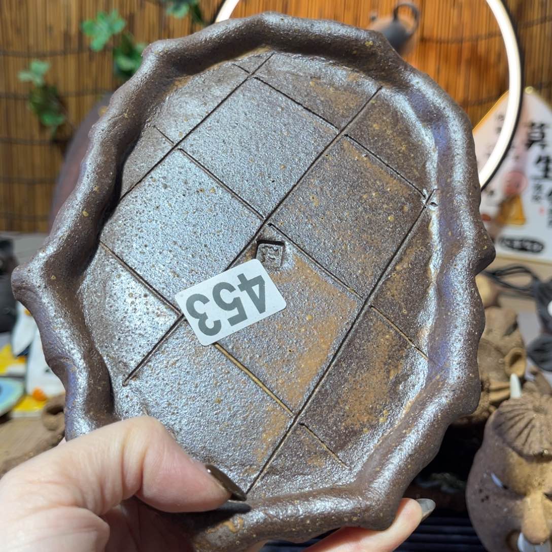 木村信弘柴烧保平