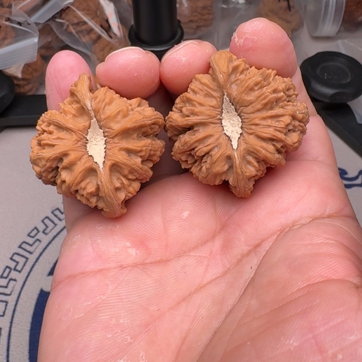 桃核把件山地密纹41尺22