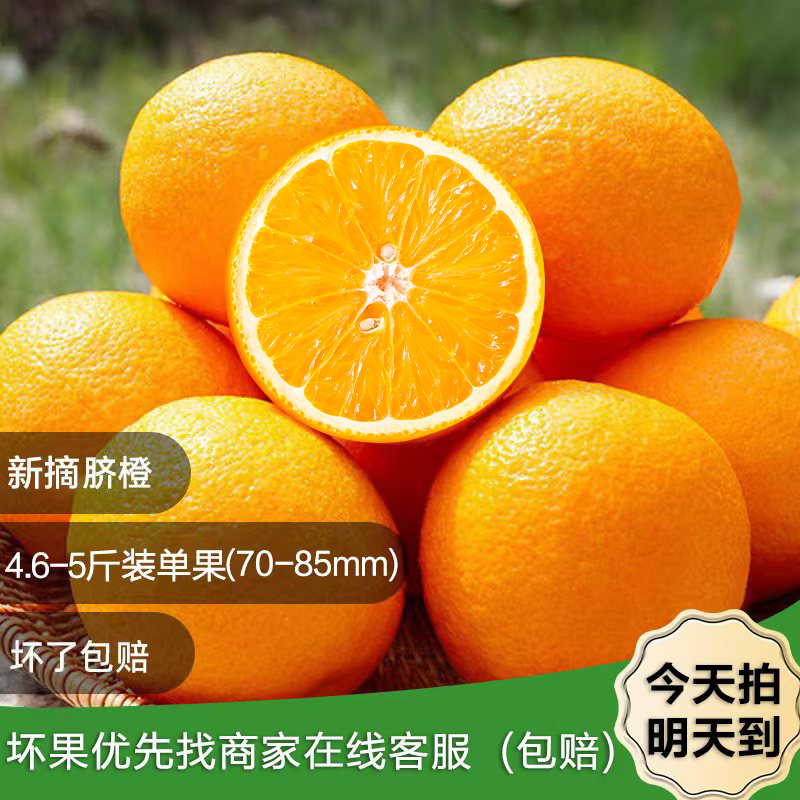 6年货补贴【包邮次日达】新鲜脐橙4.6-5斤，中大果70-85mm多汁农家现摘