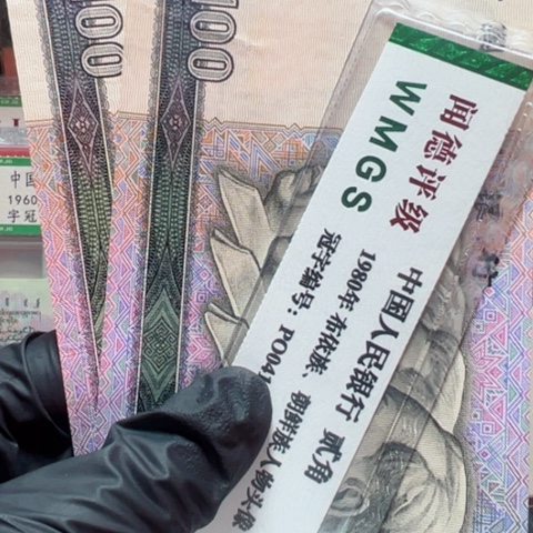 塑料第四套人民币90100两张