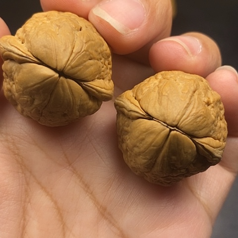 文玩核桃把件31尺八方来cai