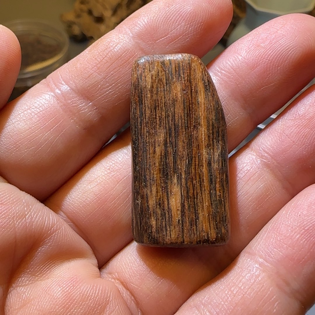 沉香碎屑沉香2.81克菩萨奇9分沉金丝油兰花香