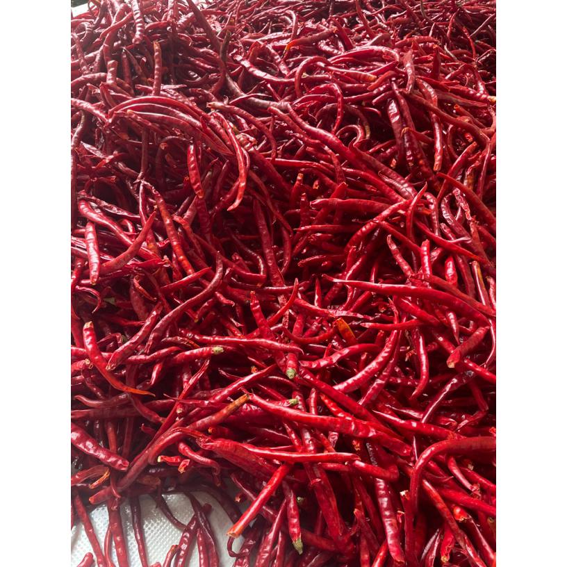 今年农家现摘丘北辣晾晒干辣子香辣口感