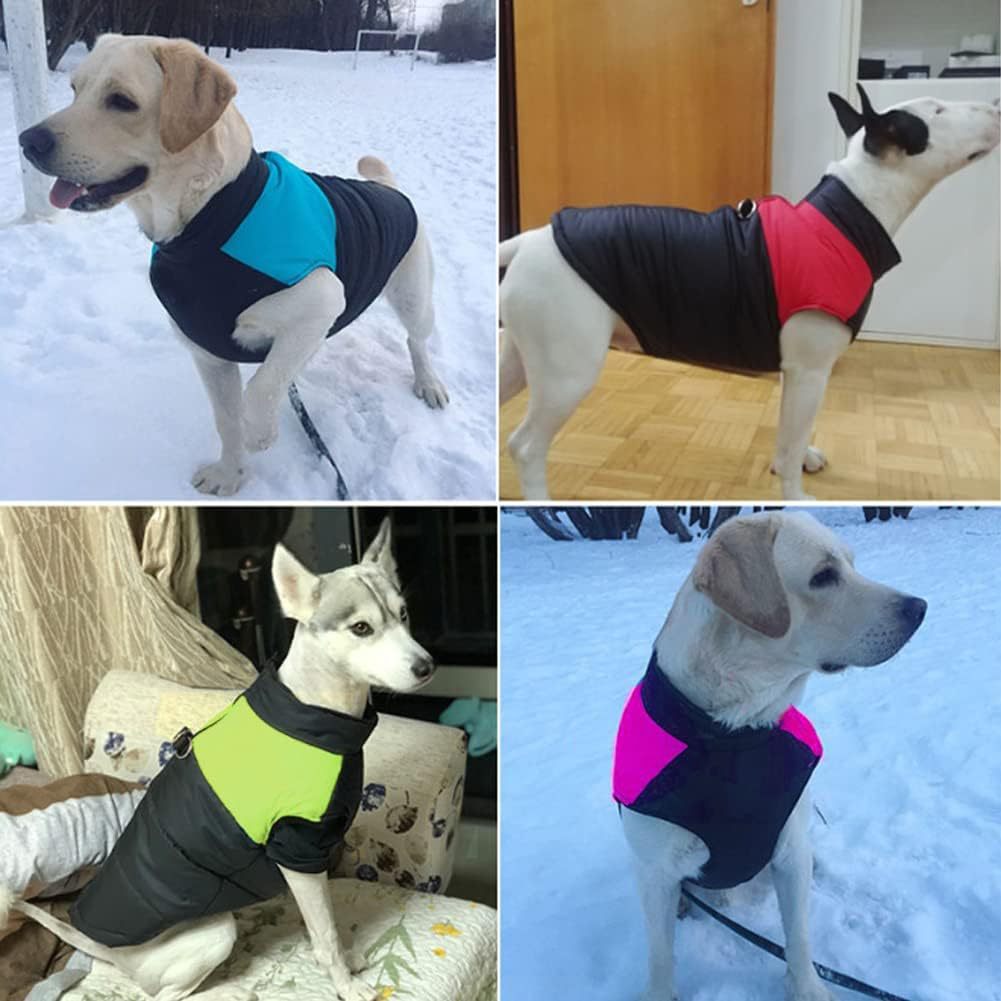 半身裙背心式狗狗衣服秋冬款可爱小型犬冬季小狗泰迪春秋款宠物棉