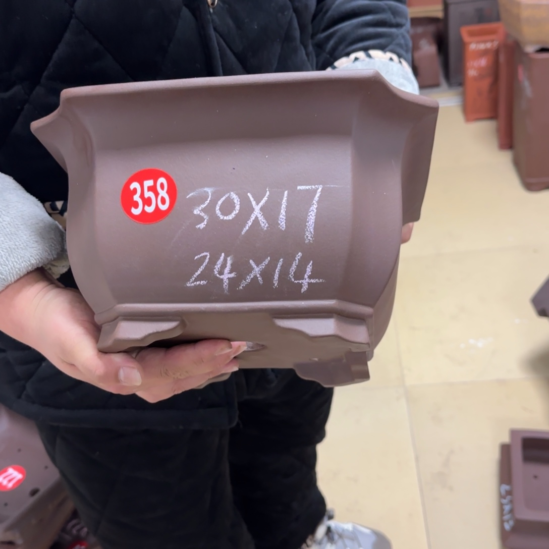 紫砂花盆我呜呜呜呜呜