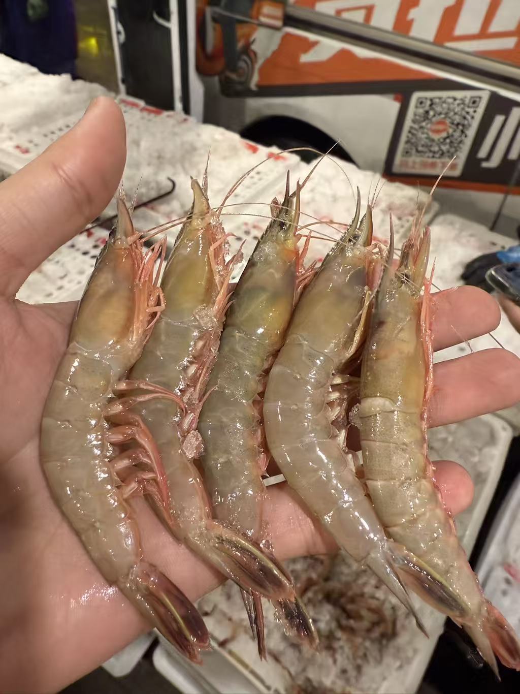 【3斤中号滑皮虾】东海野生海捕剑虾利虾营养鲜味十足 顺丰冷链包邮