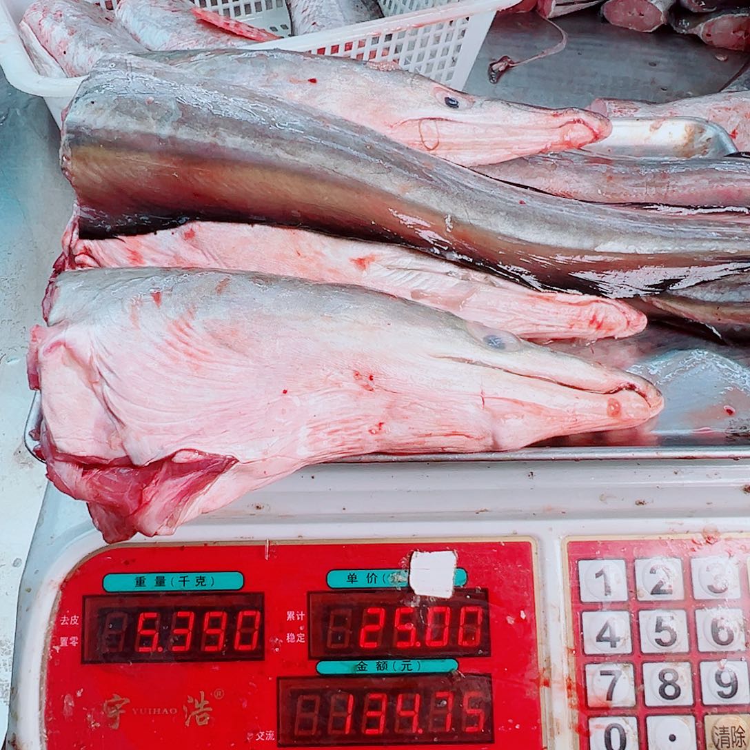 中国大陆三头三尾