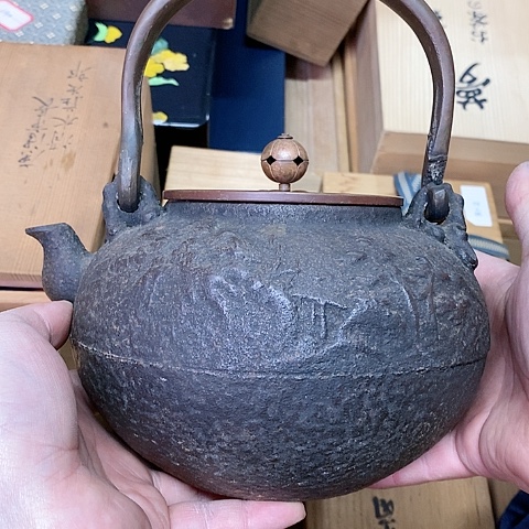 紫砂哈哈哈哈哈哈哈哈哈