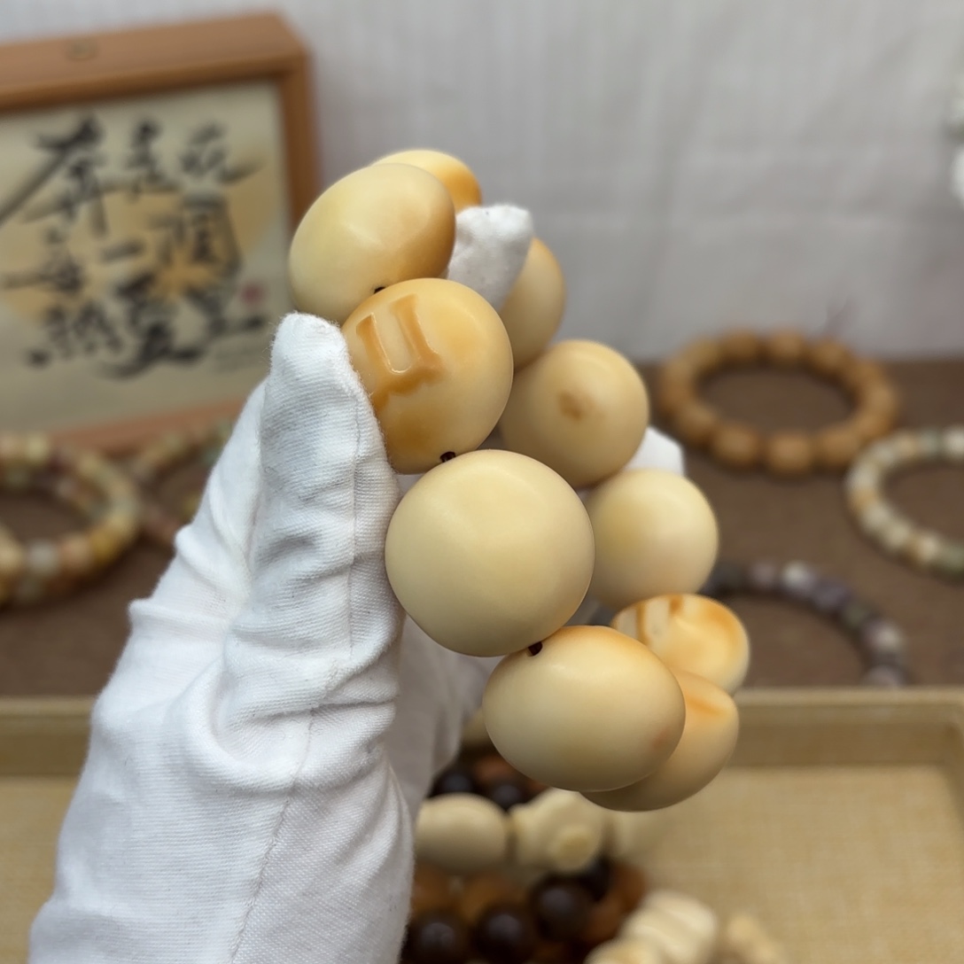 吊坠菩提根/象牙果27干磨瑕疵牙果761