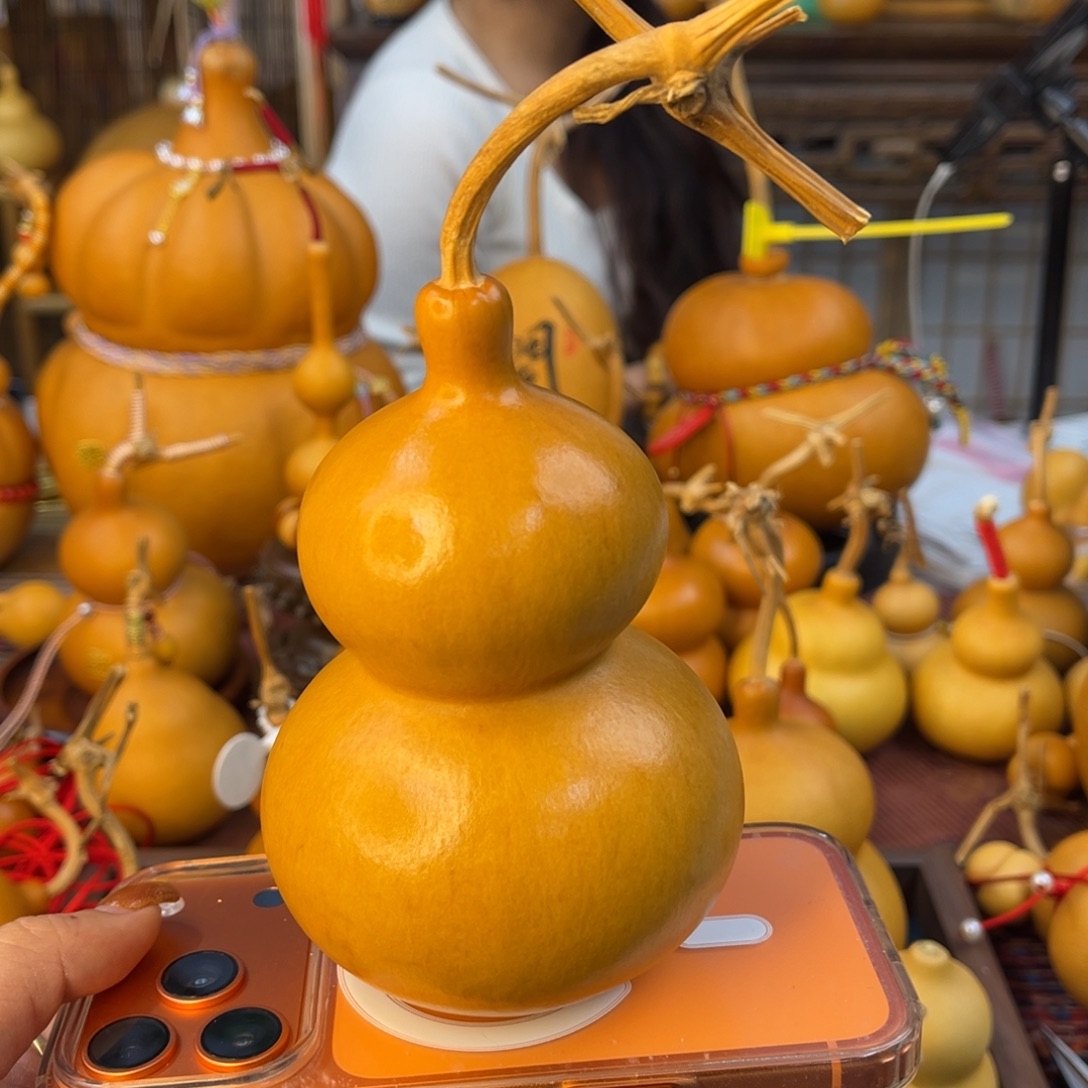 蝈***鸡发发发发发发发发发发发发发发发