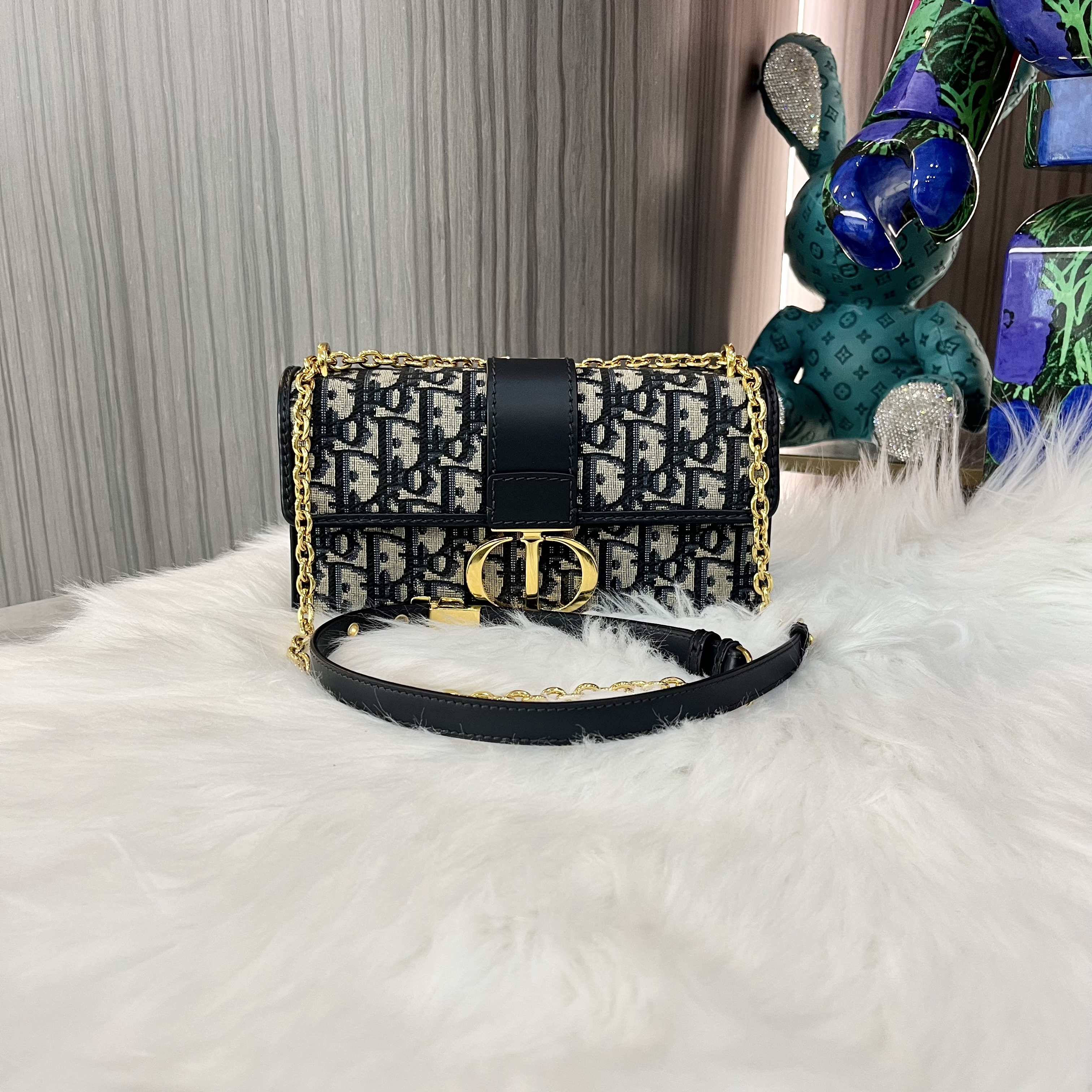95新 DIOR/迪奥 【辛河奢品】迪奥 老花蒙田30小号 单肩斜挎包