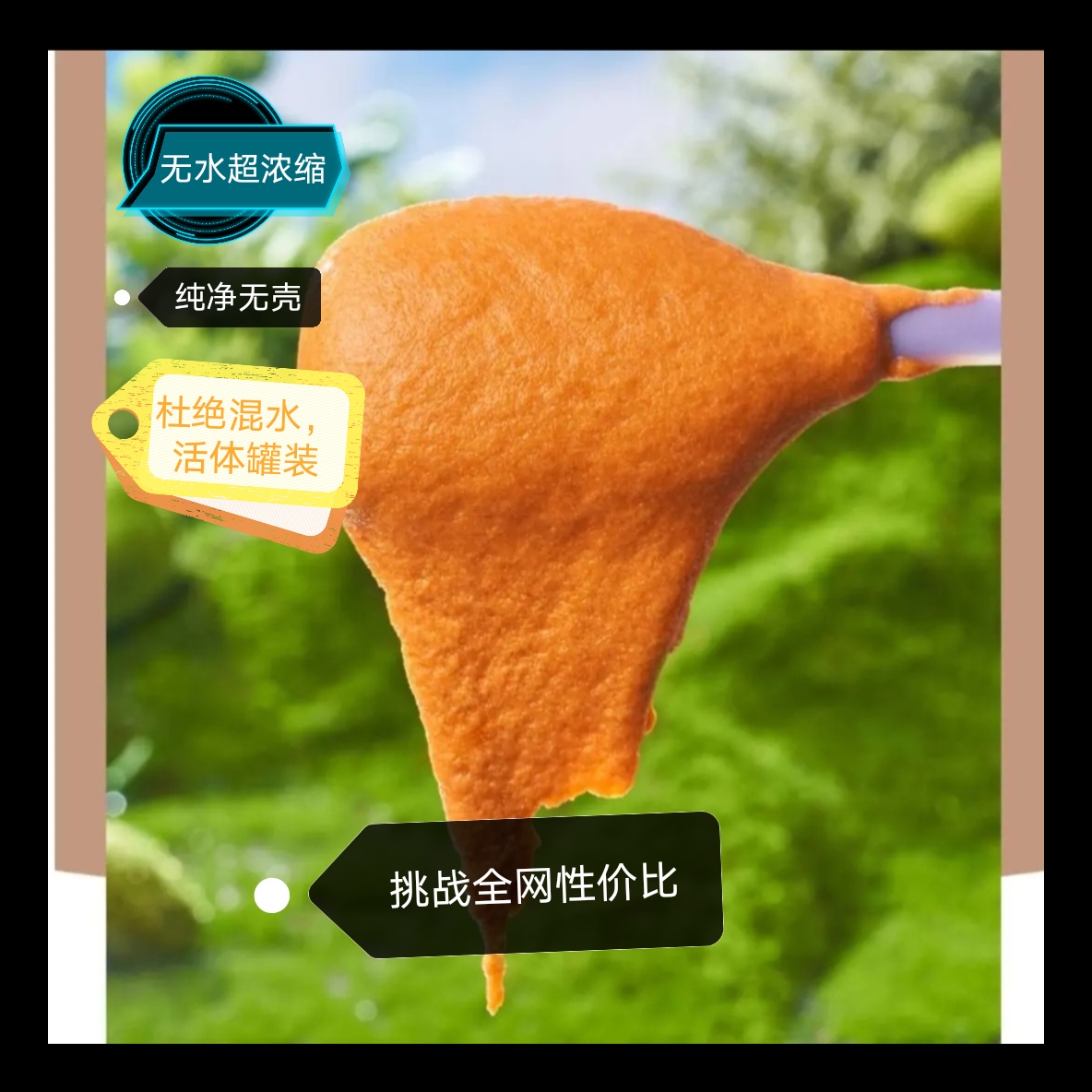 0.5/2/丰年虾幼虫超浓无水新鲜孵化孔雀小型鱼食鱼粮