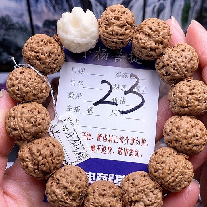 手串金刚菩提21.5-22双龙