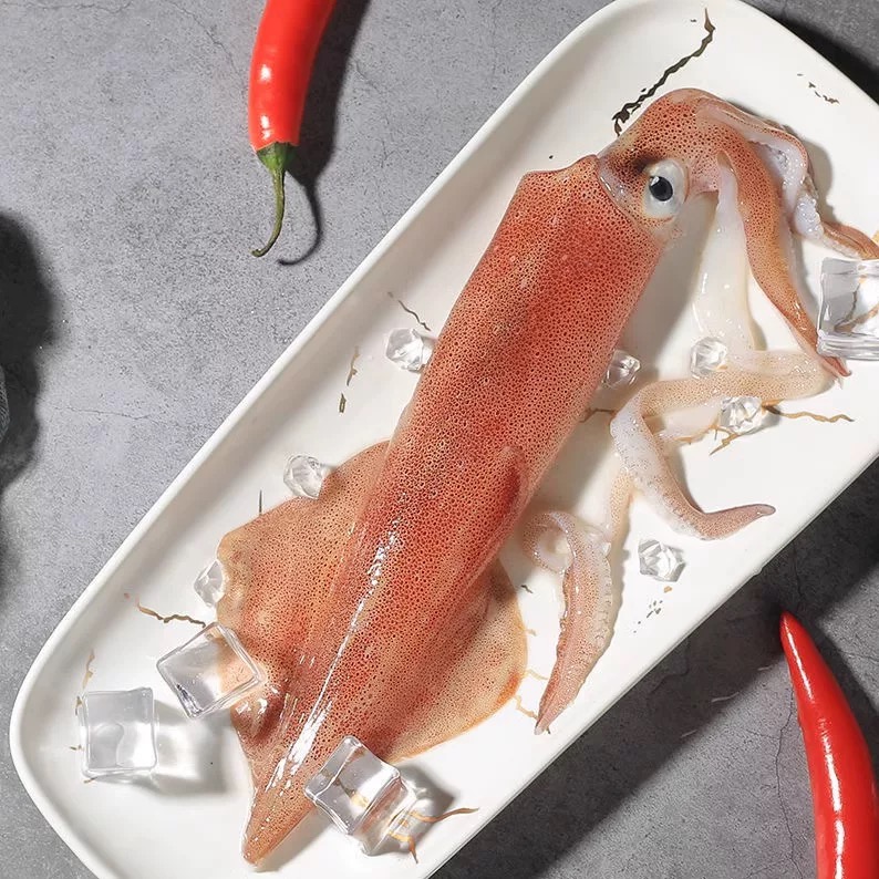 福建海鲜 新鲜本地 大脆管（5-7只左右/斤）顺丰京东包鲜到家