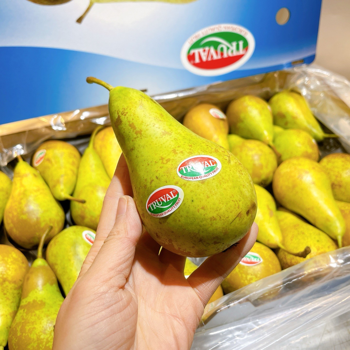 啤梨10粒2.6斤，困软吃软糯口，2.6斤起