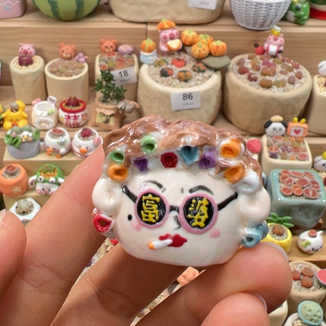 奥****多肉植物89号种海葱