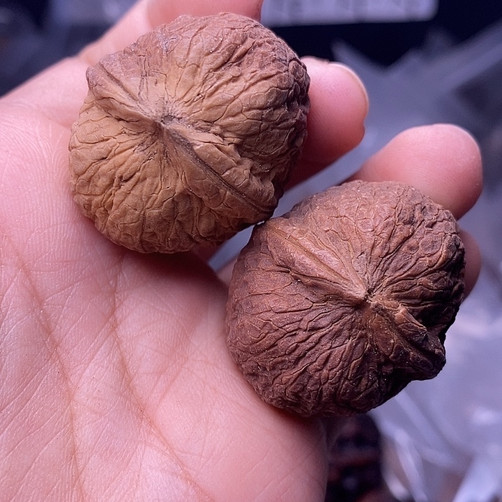 把件文玩核桃  63