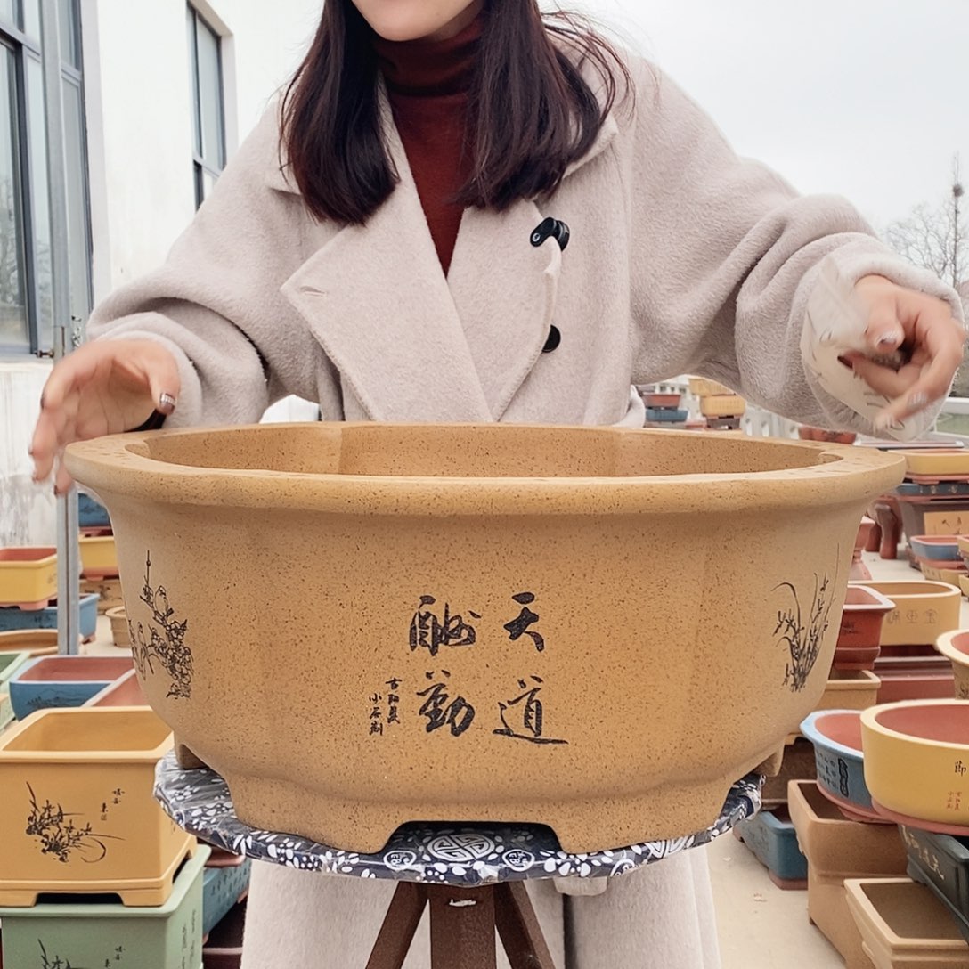 紫砂花盆紫砂花盆