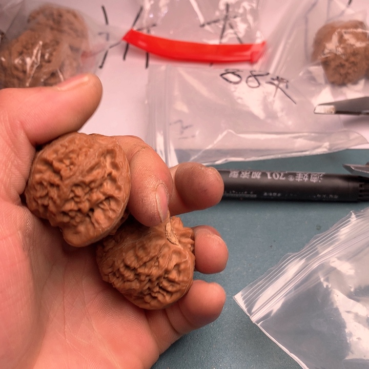 吊坠文玩核桃w****1宫灯4