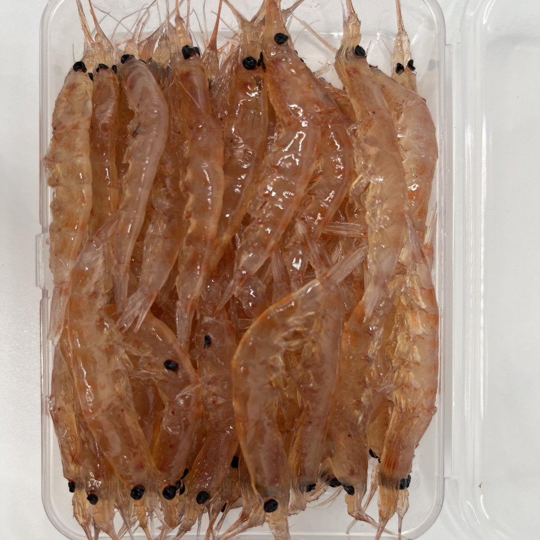 南极虾鱼饵海钓专用钓饵钓鱼(蜜制)2L-3L精挑专业级钓鱼装备