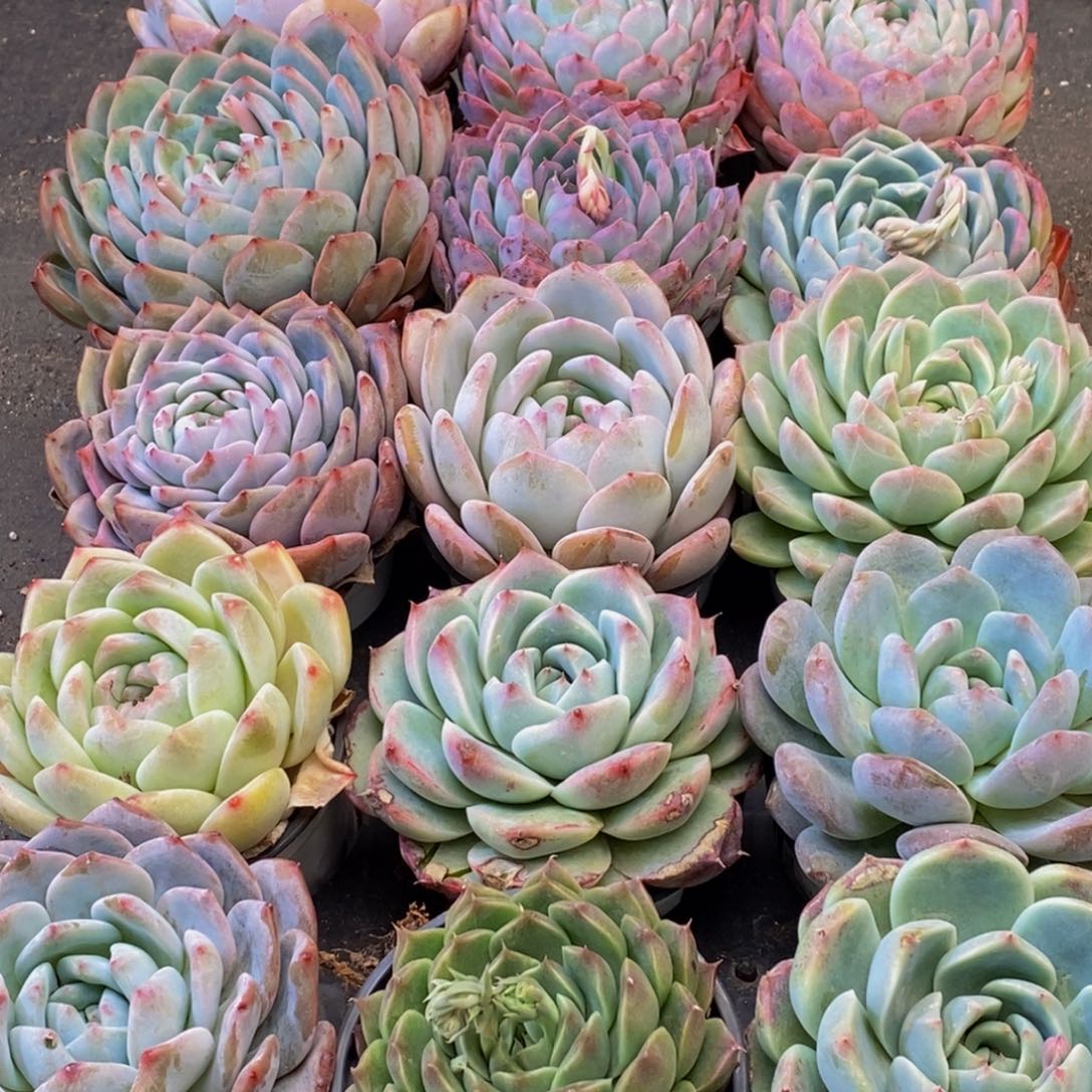 351多人在一起的时候就