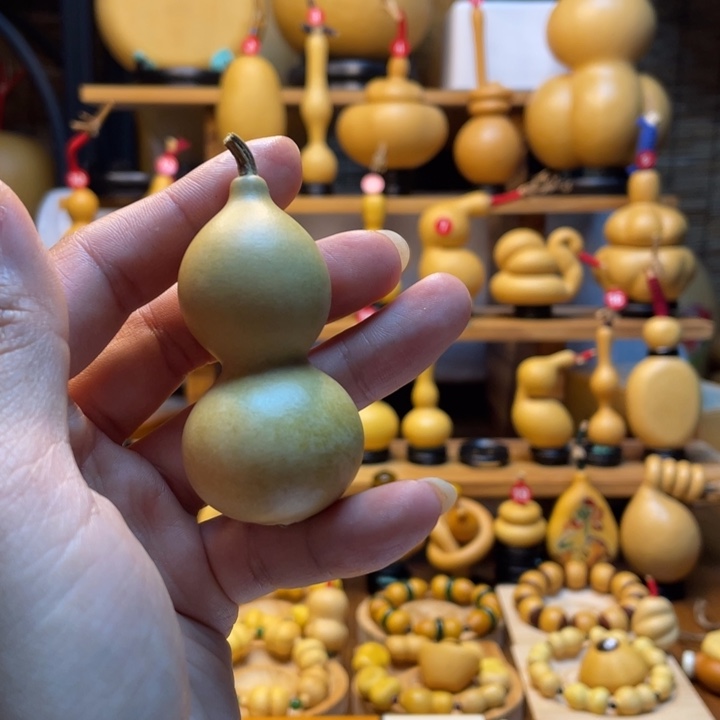 金***娃天然葫芦自然生长