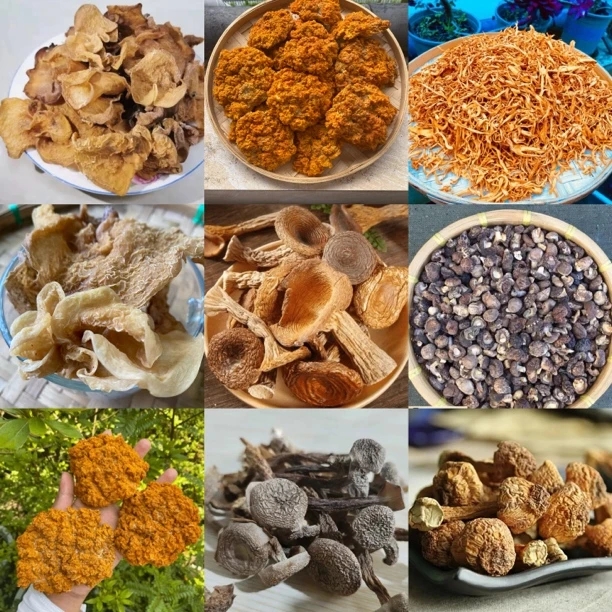 【阿龙专属土特产145】重量30g