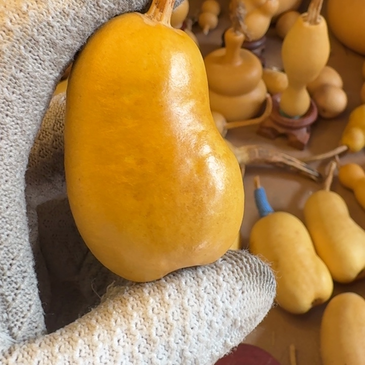 ****禾葫芦111111111111111