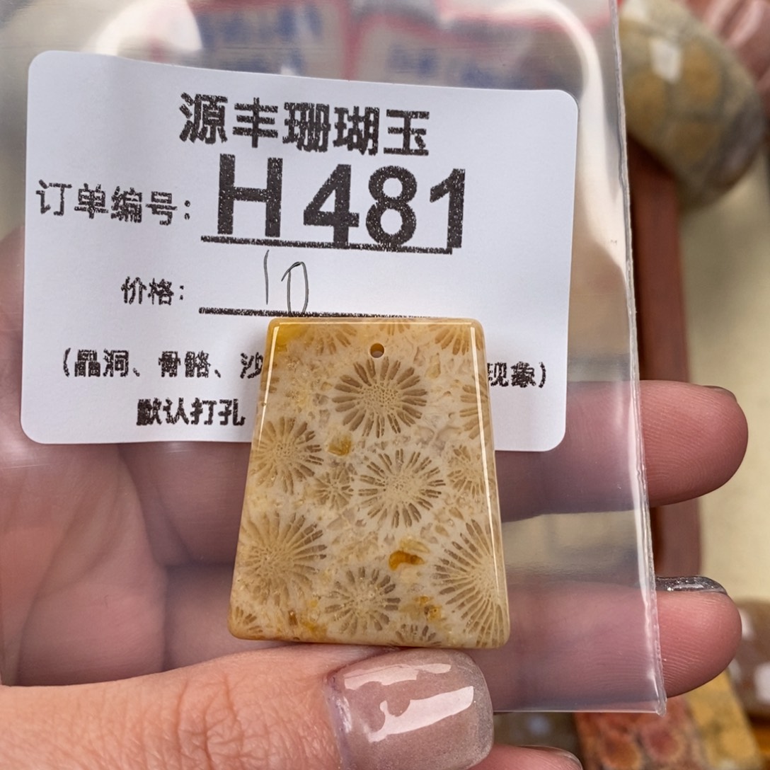 硅化玉颈饰未镶嵌小*