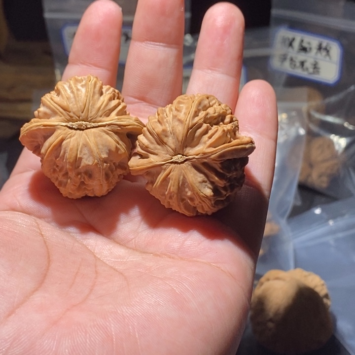 *****文玩核桃吊坠38全品白狮子