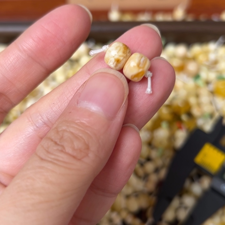 蜜蜡未镶嵌裸石8.1mm一对