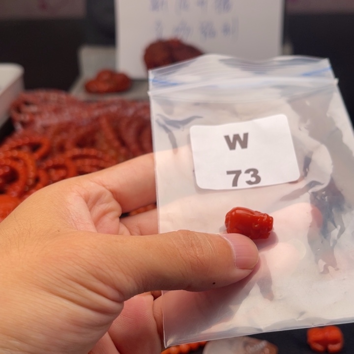 未镶嵌南红玛瑙多样性发货吊坠南红玛瑙