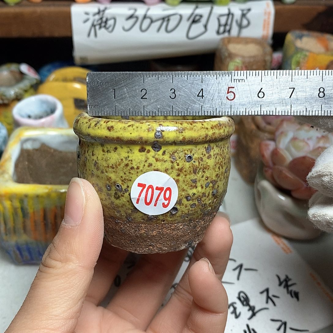 红陶拍5送一个小