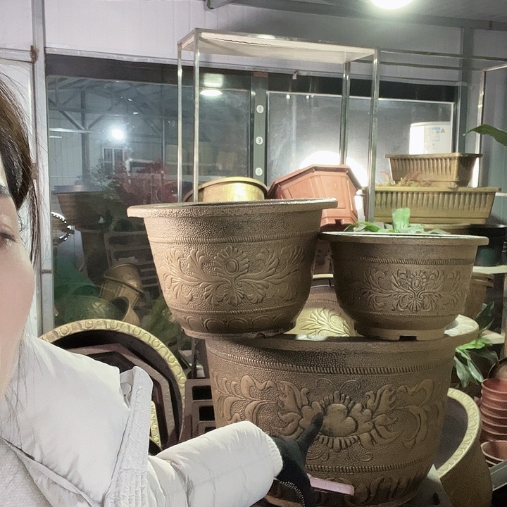 83花盆1个100元包邮