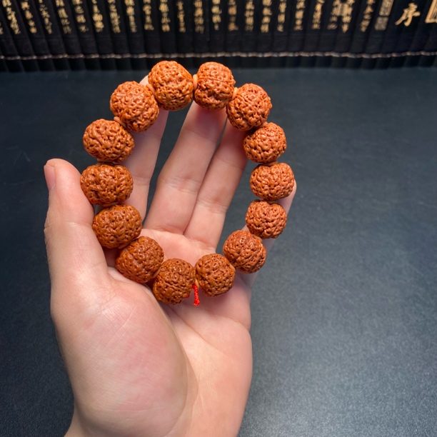 尼泊尔大金刚满肉精灵（2号）