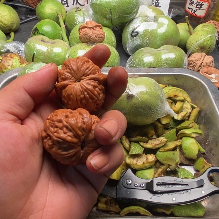 蛤蟆头蛤蟆头蛤蟆头