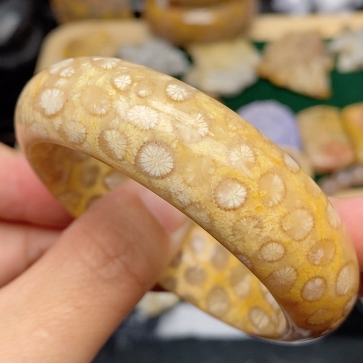 硅化珊瑚（珊瑚玉）手镯未镶嵌53